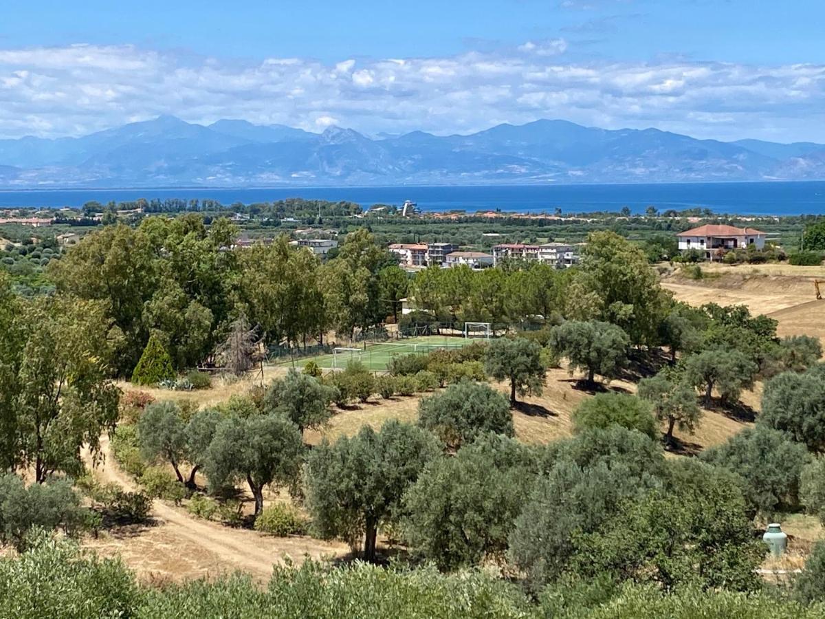 Le Colline Del Gelso-Masseria Mazzei Guest House Rossano Exterior photo